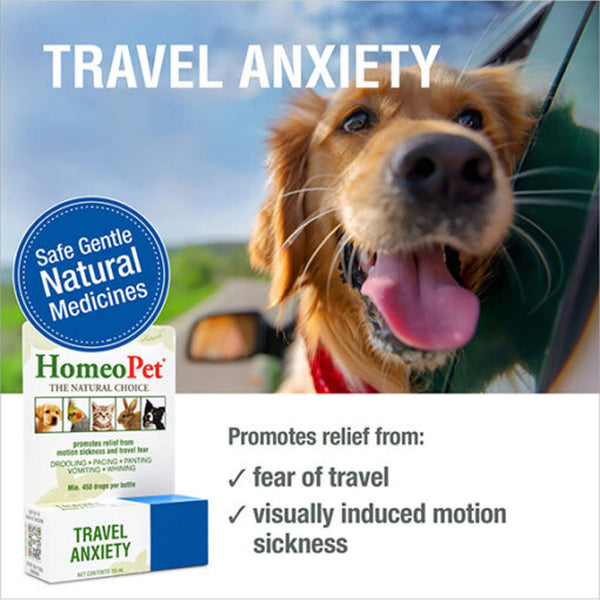 Homeopet Travel Anxiety Infographic