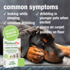 HomeoPet Leaks No More Relief Incontinence Support Drops for Dogs & Cats