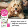 HomeoPet UTI+ Homeopathic Urinary Tract Support Drops for Dogs & Cats