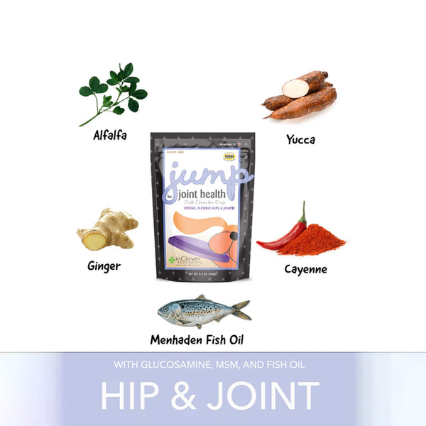 In Clover Jump for Dogs Ingredients Infographic