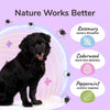 Kin + Kind Flea & Tick Travel Multi-Kit for Dogs