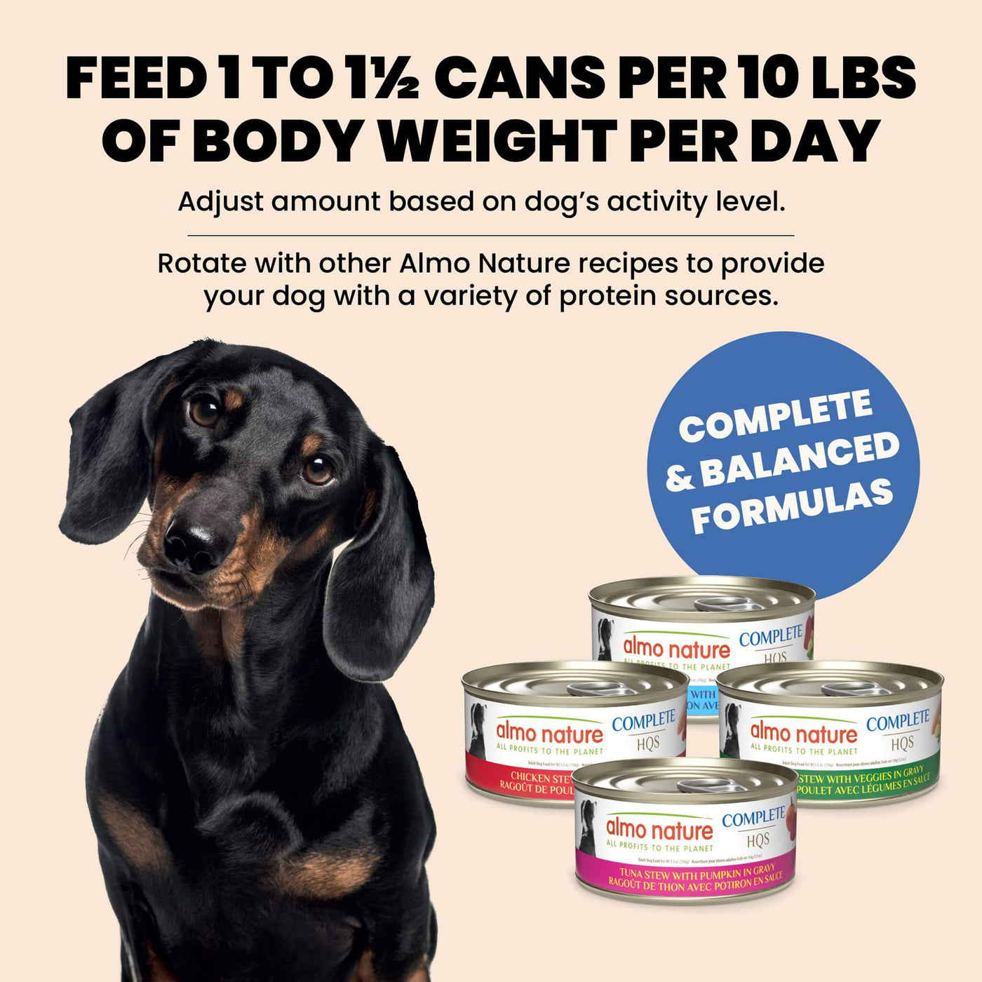 Almo Nature Complete HQS Chicken Dinner with Pumpkin Dog Food, 5.5-oz, case of 12