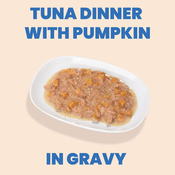 Tuna & Pumpkin Stew