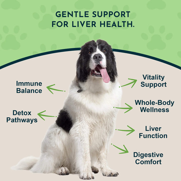 Animal Essentials Herbal Liver Defense Liquid for Dogs & Cats Benefits