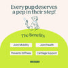 Archway Hip & Joint Health Functional Dog Treats Benefits