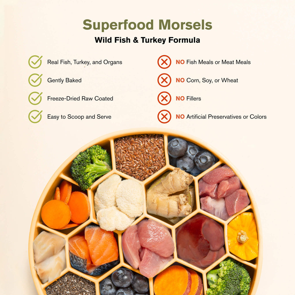 Badlands Ranch Superfood Morsel Raw Coated Dog Food | Only Natural Pet