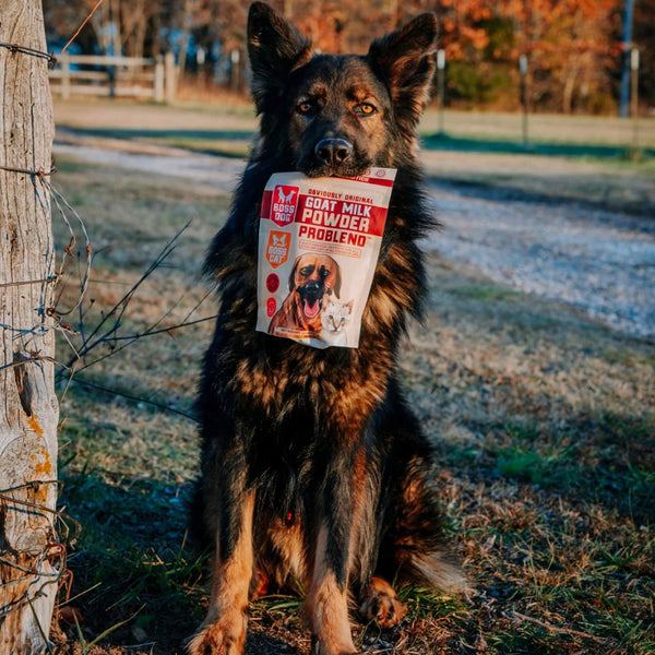 Boss Dog Goat Milk Powder Topper for Dogs