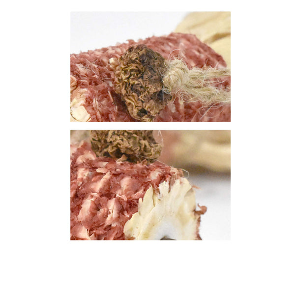 CATWANT Corn & Silvervine Cat Toy