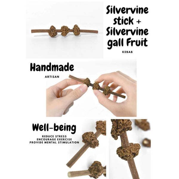 CATWANT Silvervine Gall Fruit Kebab Cat Toy