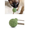 CATWANT Lollipops for Cats