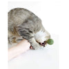 CATWANT Lollipops for Cats