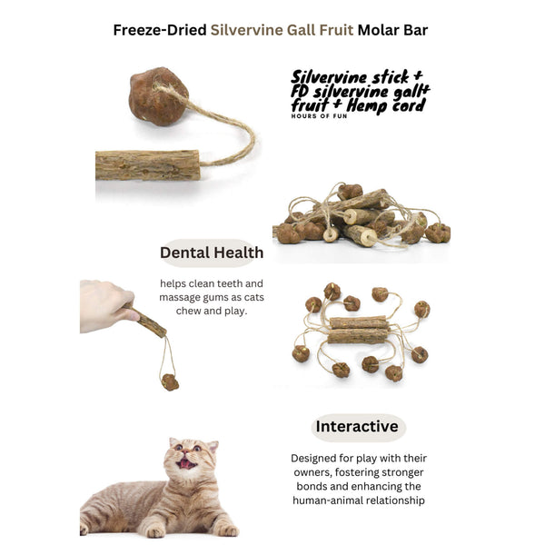 CATWANT Silvervine Molar Bar Cat Toy
