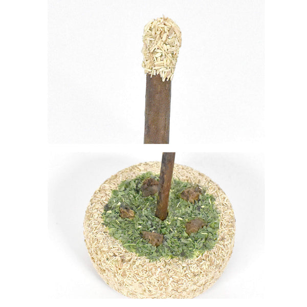 CATWANT Silvervine Birthday Cake Cat Toy