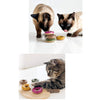 CATWANT Silvervine Donut Cat Toys