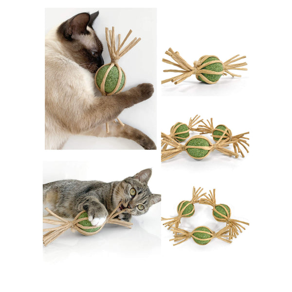CATWANT Woven Silvervine Gall Fruit Candy Cat Toy