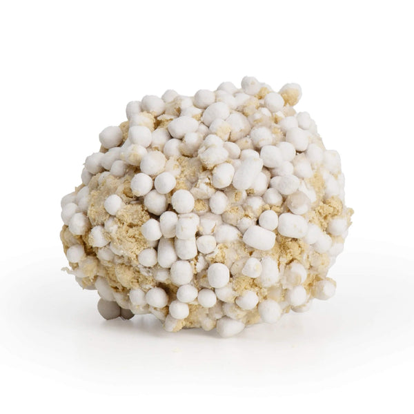 Catit Go Natural Clumping Litter Clump