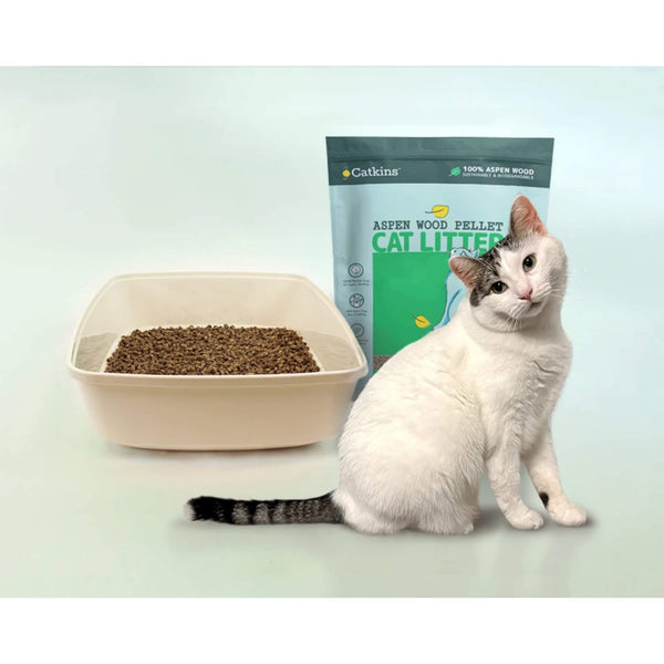 Catkins Aspen Wood Cat Litter With a Curious Kitty Cat