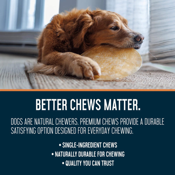 Dogginstix Beef Collagen UFO Dog Chew Better Chews Matter