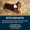 Dogginstix Beef Foot Dog Chew Better Chews Matter