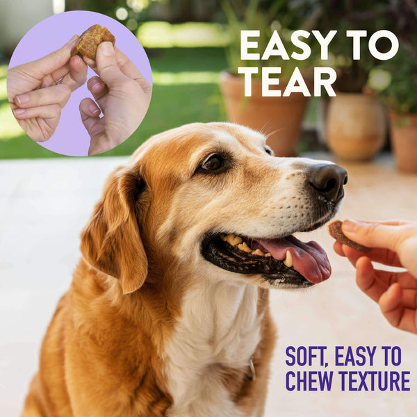 Dogswell Senior Health Mini Soft Strip Jerky Treats for Dogs Easy to Tear