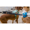 Ruffwear Double Track with two dogs