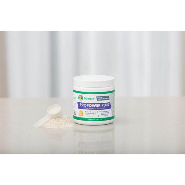 Dr. Marty ProPower Plus Canine Digestive Dog Supplement Powder with a Spoonful