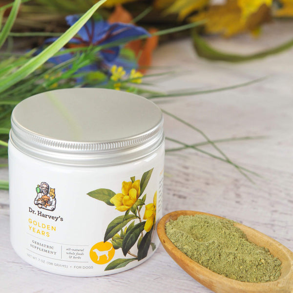 Dr. Harvey's Golden Years Whole Food & Herb Geriatric Supplement for Senior Dogs Bottle with Scoop Scene