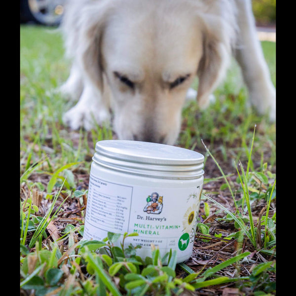 Dr. Harvey's Multi-Vitamin + Mineral Whole Food & Herb Supplement for Dogs with Sniffing Dog