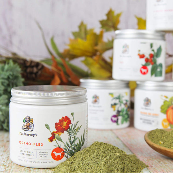 Dr. Harvey's Ortho-Flex Joint Ease Supplement for Dogs Bottle with Scoop Scene