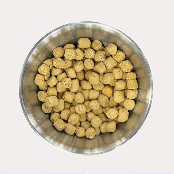 Ernie's Positively Good Oven Baked Salmon Dog Treats in a Bowl