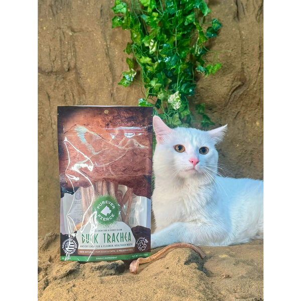 Furever Fierce Duck Trachea Chews for Dogs & Cats with a Cat