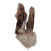 Furever Fierce Dehydrated Rabbit Ears for Dogs & Cats Closeup