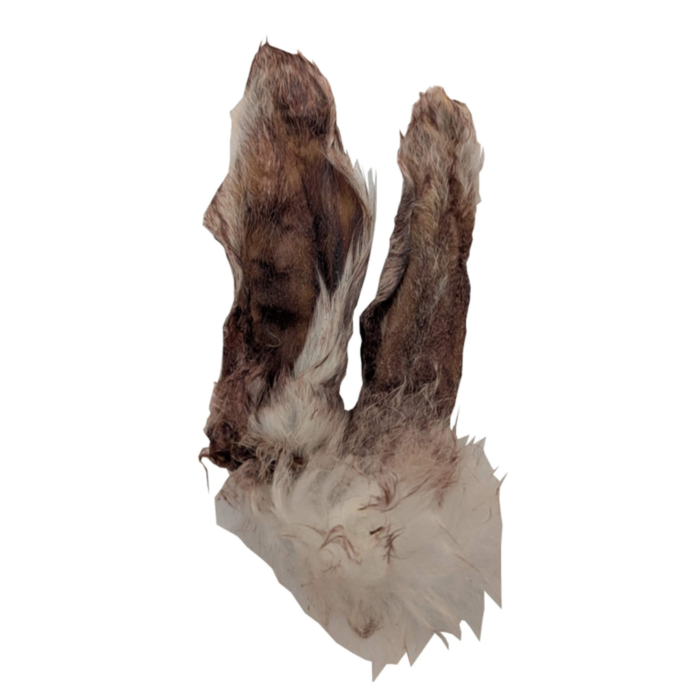 Furever Fierce Dehydrated Rabbit Ears for Dogs & Cats | Only Natural Pet