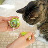 Giddy Kitty Purrsuits Cat Treats