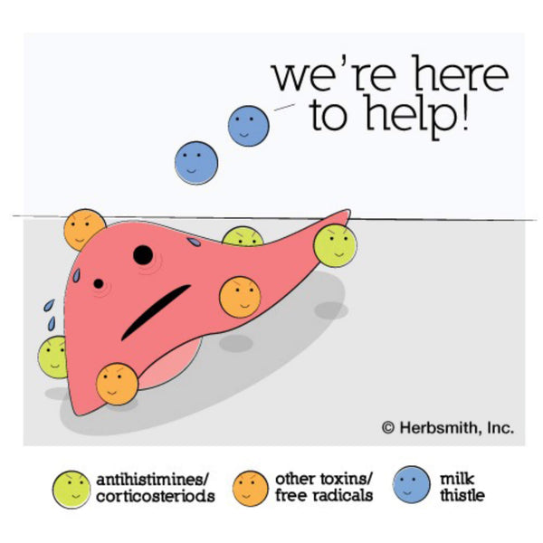 Herbsmith Milk Thistle Powder Liver Supplement for Dogs & Cats We're Here to Help Infographic