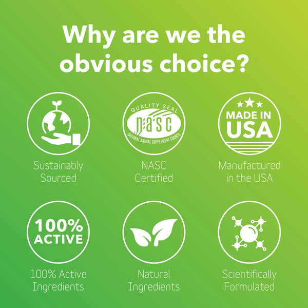 In Clover Bioresiliant Allergy Powder for Dogs & Cats benefit badges