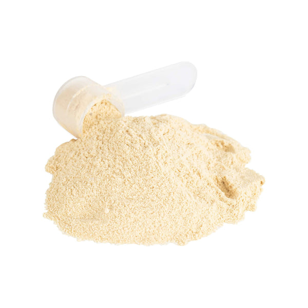 In Clover Biovibrant Heart Powder for Dogs & Cats scoop of powder