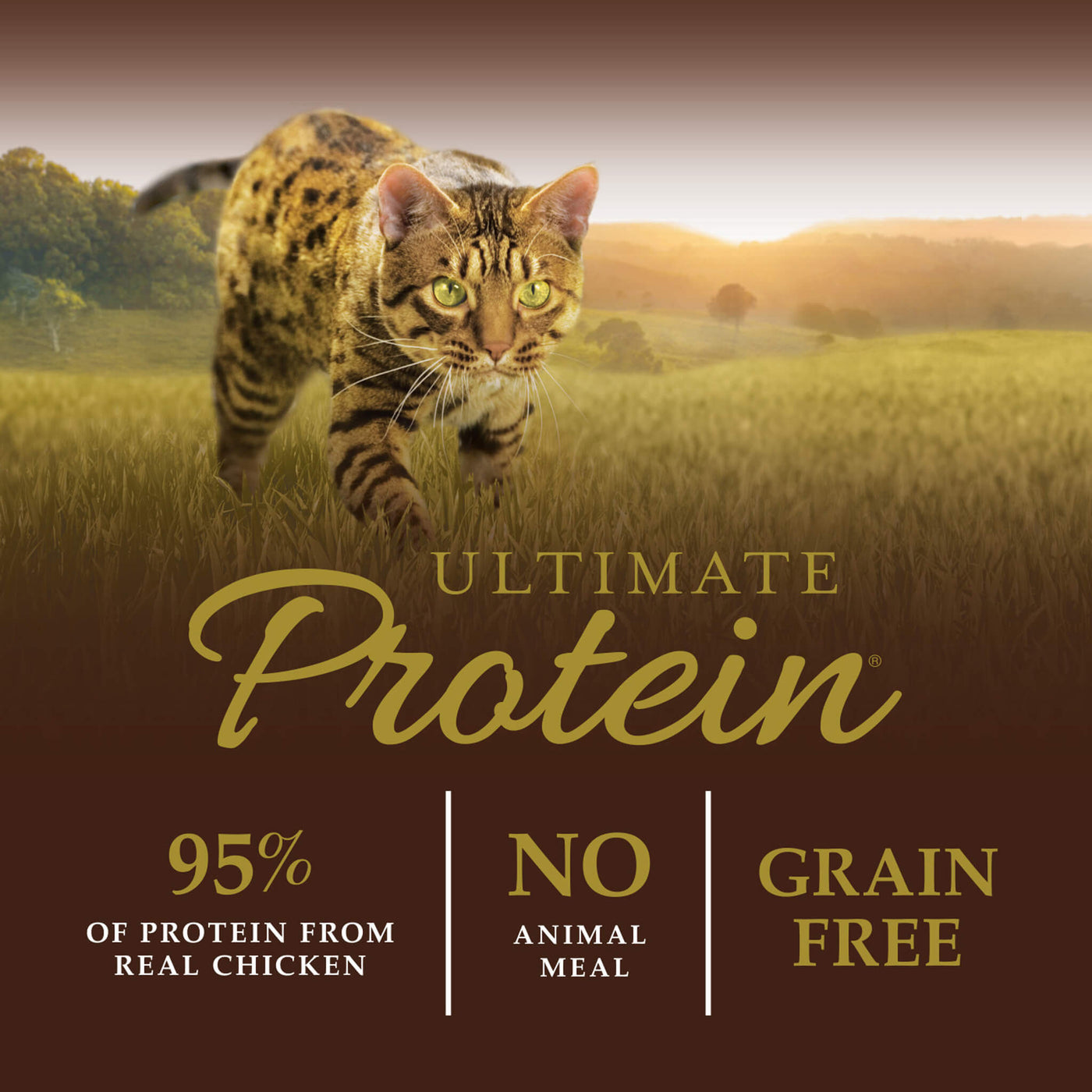 nature's instinct l-carnitine for cats New Version Available delivering exceptional nutrition and a delicious taste your kitten will crave Instinct Ultimate Protein Grain Free