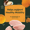 Instinct Raw Boost Mixers Freeze Dried Mobility Support Topper for Dogs Support Healthy Mobility