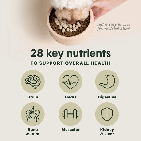 Instinct Raw Boost Mixers Freeze Dried Multivitamin Topper for Dogs 28 Key Nutrients