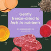 Instinct Raw Boost Mixers Freeze Dried Multivitamin Topper for Dogs Gently Freeze Dried