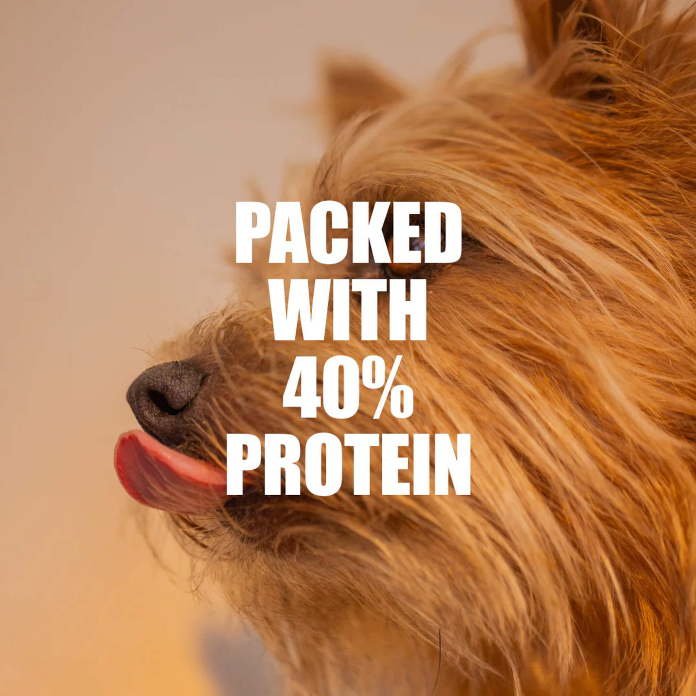 K9 Natural Baked & Coated Grain-Free Dog Food | Only Natural Pet