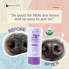 Kin + Kind Organic Nose & Paw Stick for Dogs Before & After Nose