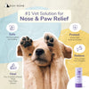 Kin + Kind Organic Nose & Paw Stick for Dogs #1 Vet Solution