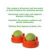 Mewoijuana Stick N Lick Stick-On Catnip Ball Cat Toy Highlights