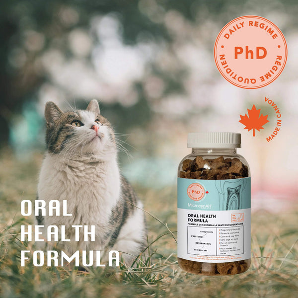 MicrocynAH PHD Oral Health Chews for Cats with Cat