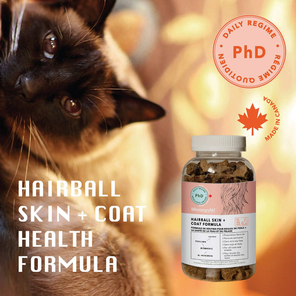 MicrocynAH PHD Skin & Coat Health Chews for Cats with Cat