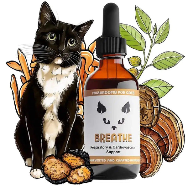 MycoDog Breathe Liquid Respiratory & Cardiovascular Supplement for Cats Spread