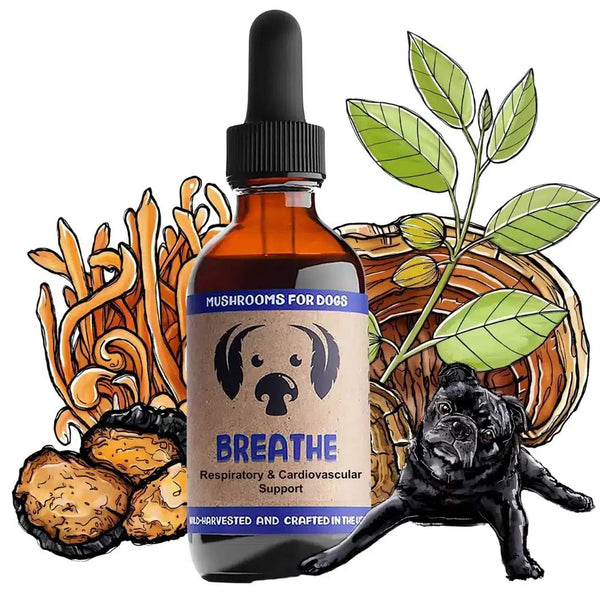 MycoDog Breathe Liquid Respiratory & Cardiovascular Supplement for Dogs Spread