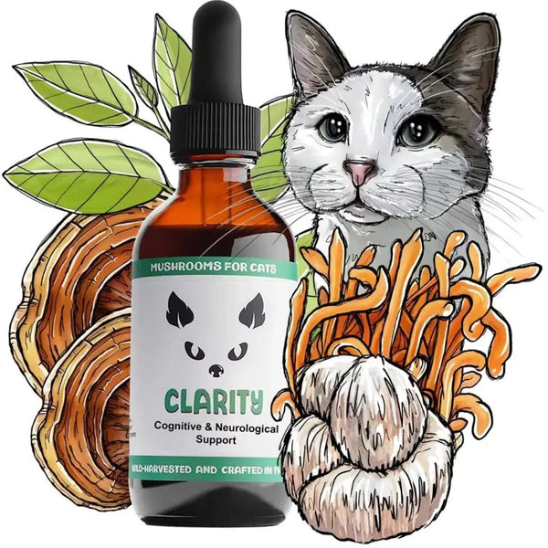 MycoDog Clarity Liquid Cognitive Support Supplement for Cats Spread